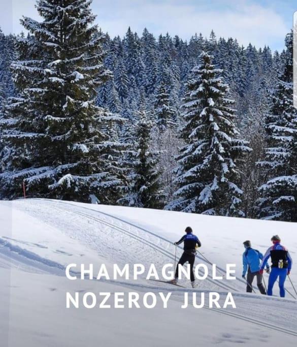 فيلا Gite Jura Mina Chalet Au Milieu De La Nature Ney المظهر الخارجي الصورة