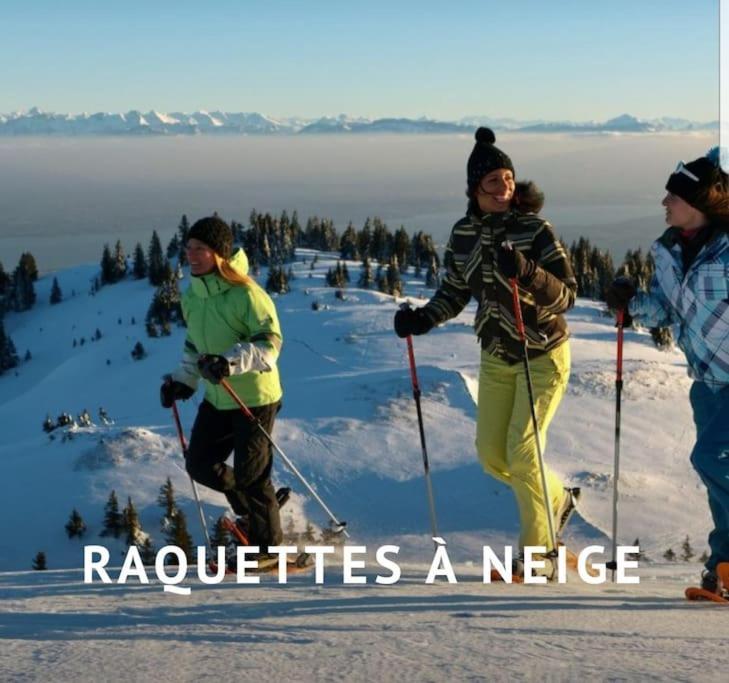 فيلا Gite Jura Mina Chalet Au Milieu De La Nature Ney المظهر الخارجي الصورة