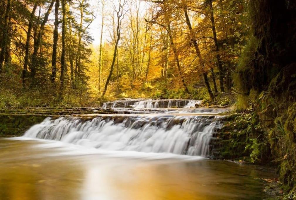 فيلا Gite Jura Mina Chalet Au Milieu De La Nature Ney المظهر الخارجي الصورة