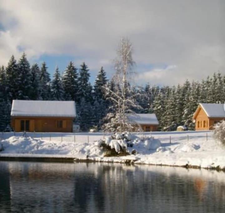 فيلا Gite Jura Mina Chalet Au Milieu De La Nature Ney المظهر الخارجي الصورة